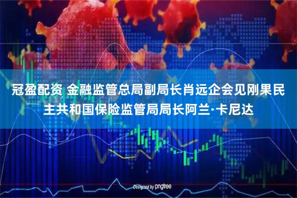 冠盈配资 金融监管总局副局长肖远企会见刚果民主共和国保险监管局局长阿兰·卡尼达