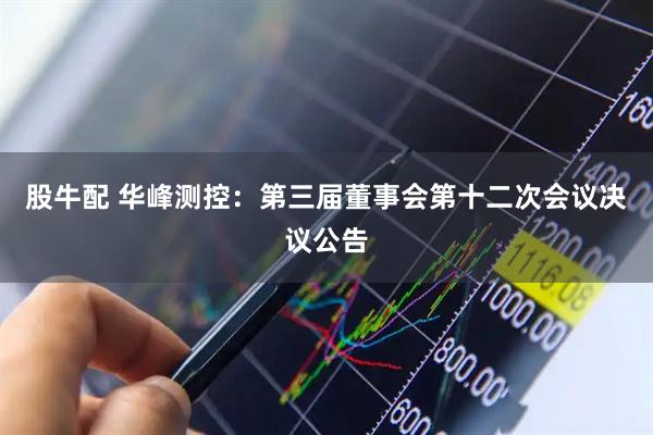 股牛配 华峰测控：第三届董事会第十二次会议决议公告