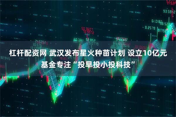杠杆配资网 武汉发布星火种苗计划 设立10亿元基金专注“投早投小投科技”