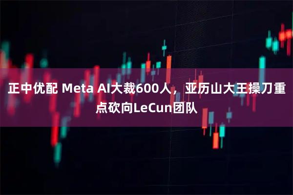 正中优配 Meta AI大裁600人，亚历山大王操刀重点砍向LeCun团队