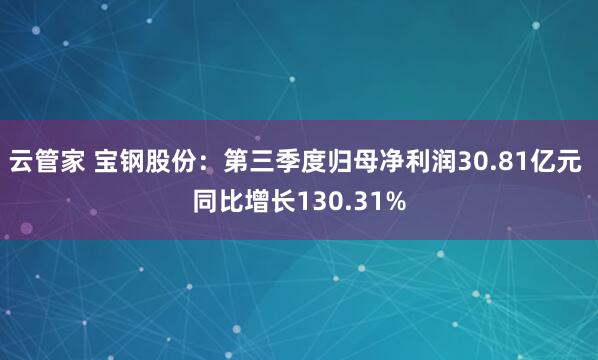云管家 宝钢股份：第三季度归母净利润30.81亿元 同比增长130.31%